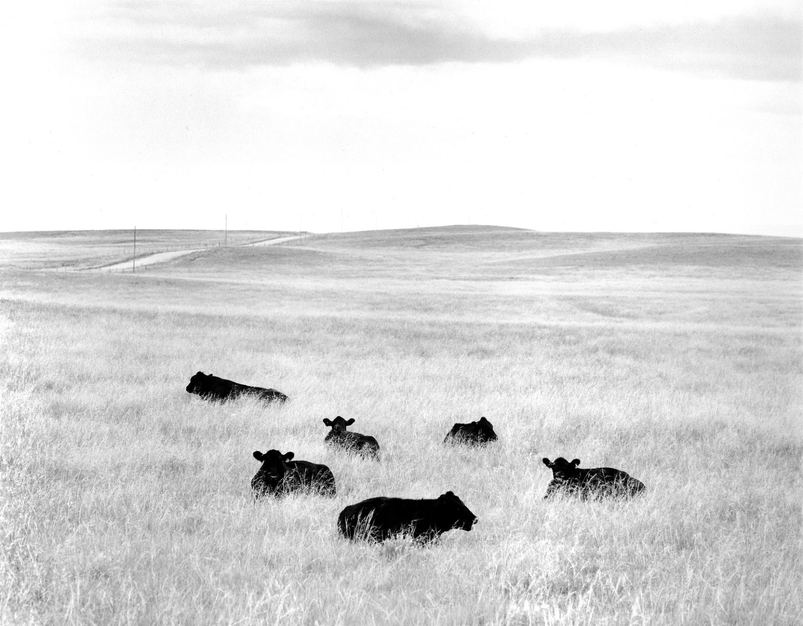 "Commonplace—Commonsense" by Drake Hokanson